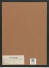 Navicula perlepida Grun. (de-Toni-Nr.: Genus 1, Species 614) Zeichnungen Sammlung Grunow Mappe 00531 (Herbarium_W_Grunow_drawings_Folder_00531)
